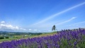 欧美狂操女人逼日本一地6日游  境外旅游 6880元/人